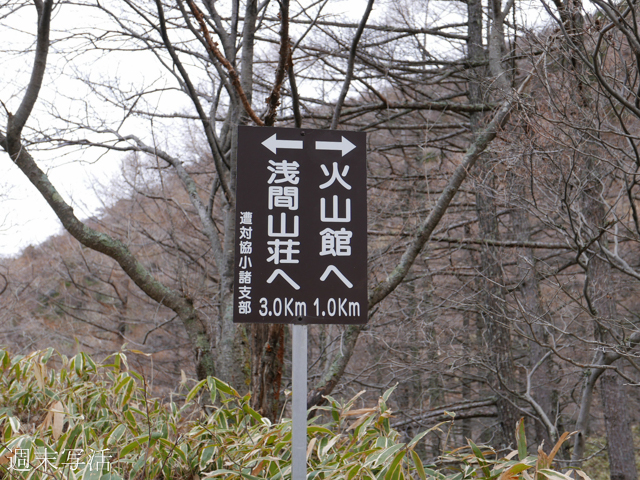 浅間山登山道の写真