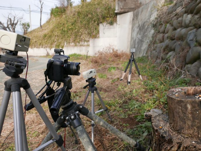 自作した自動撮影装置で野生動物撮影 自然環境報告ブログ
